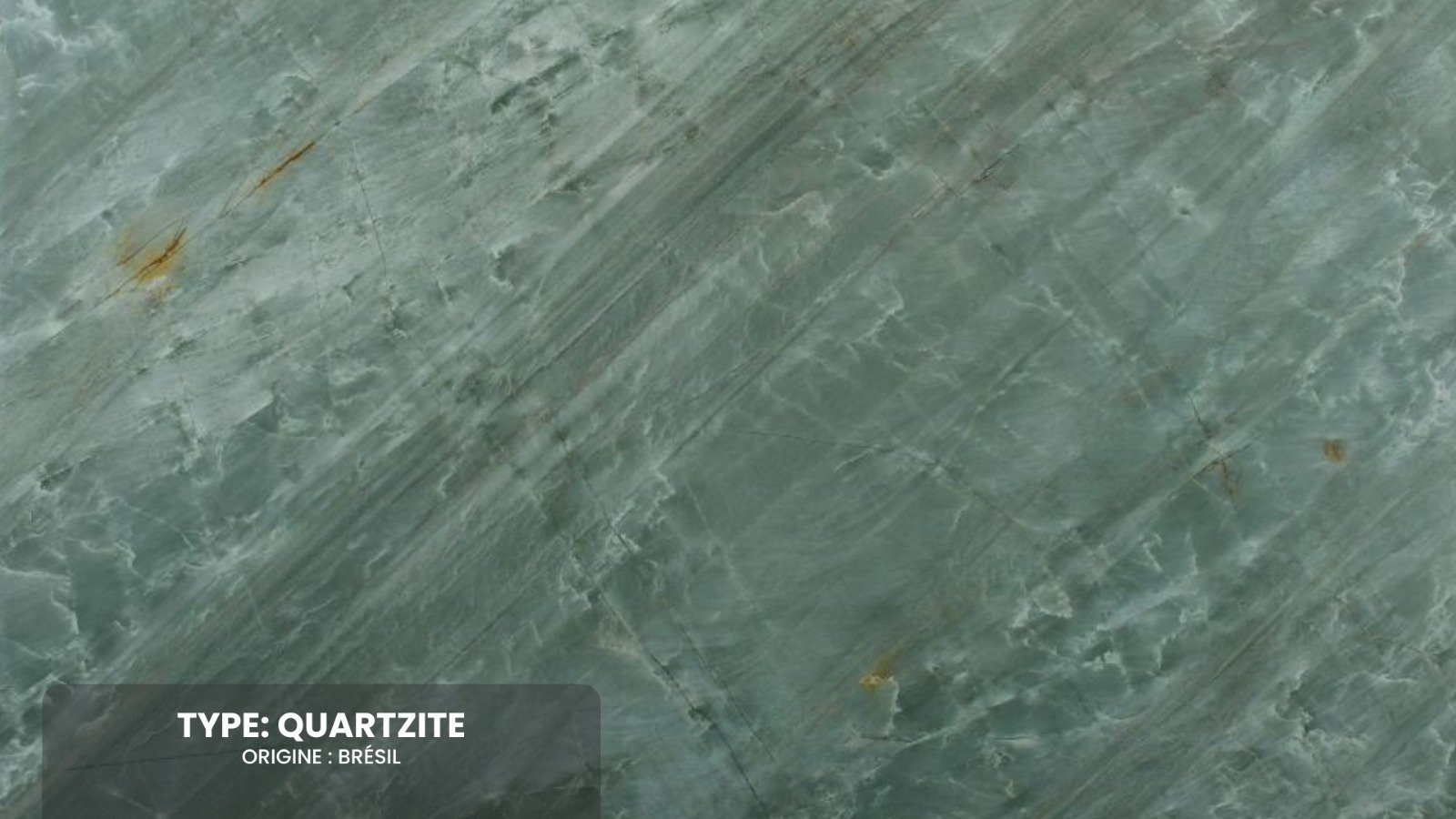 WhatsApp Image 2026-02-03 at 21.10.12 (1)