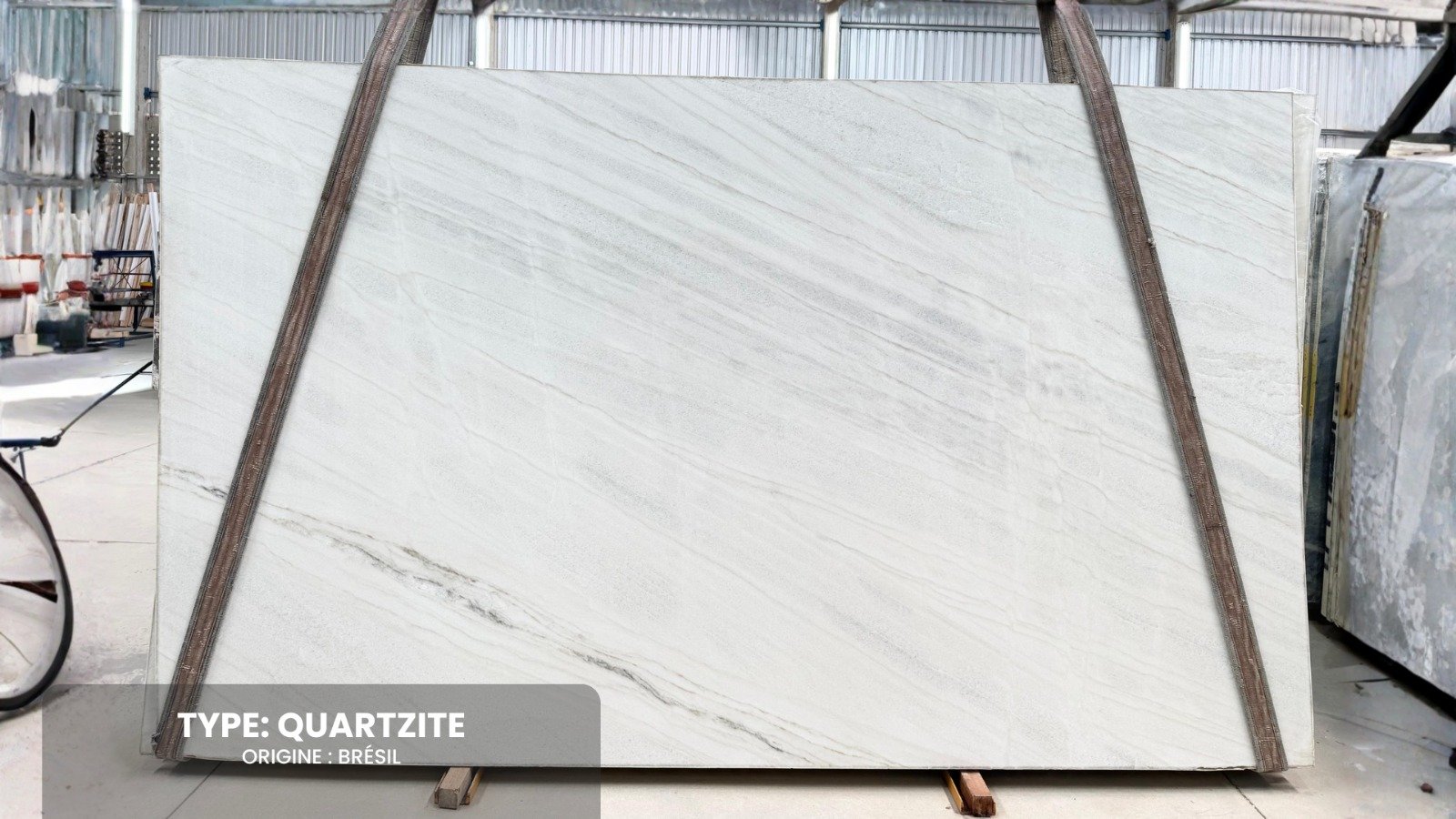 WhatsApp Image 2026-02-03 at 21.10.12 (2)