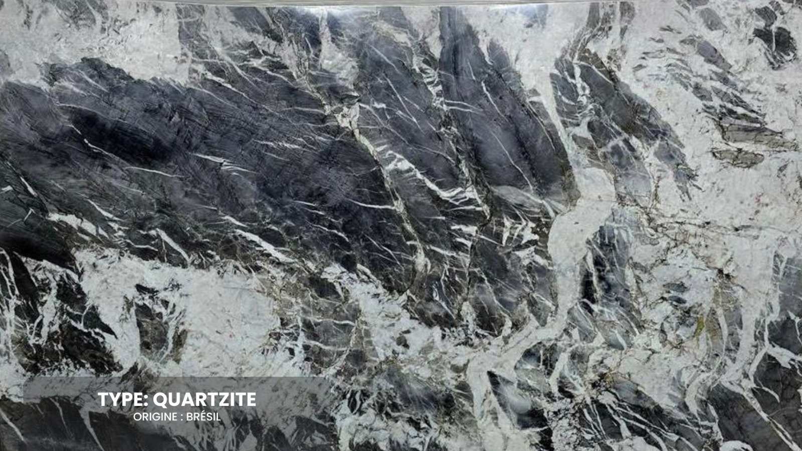 WhatsApp Image 2026-02-03 at 21.10.12 (4)